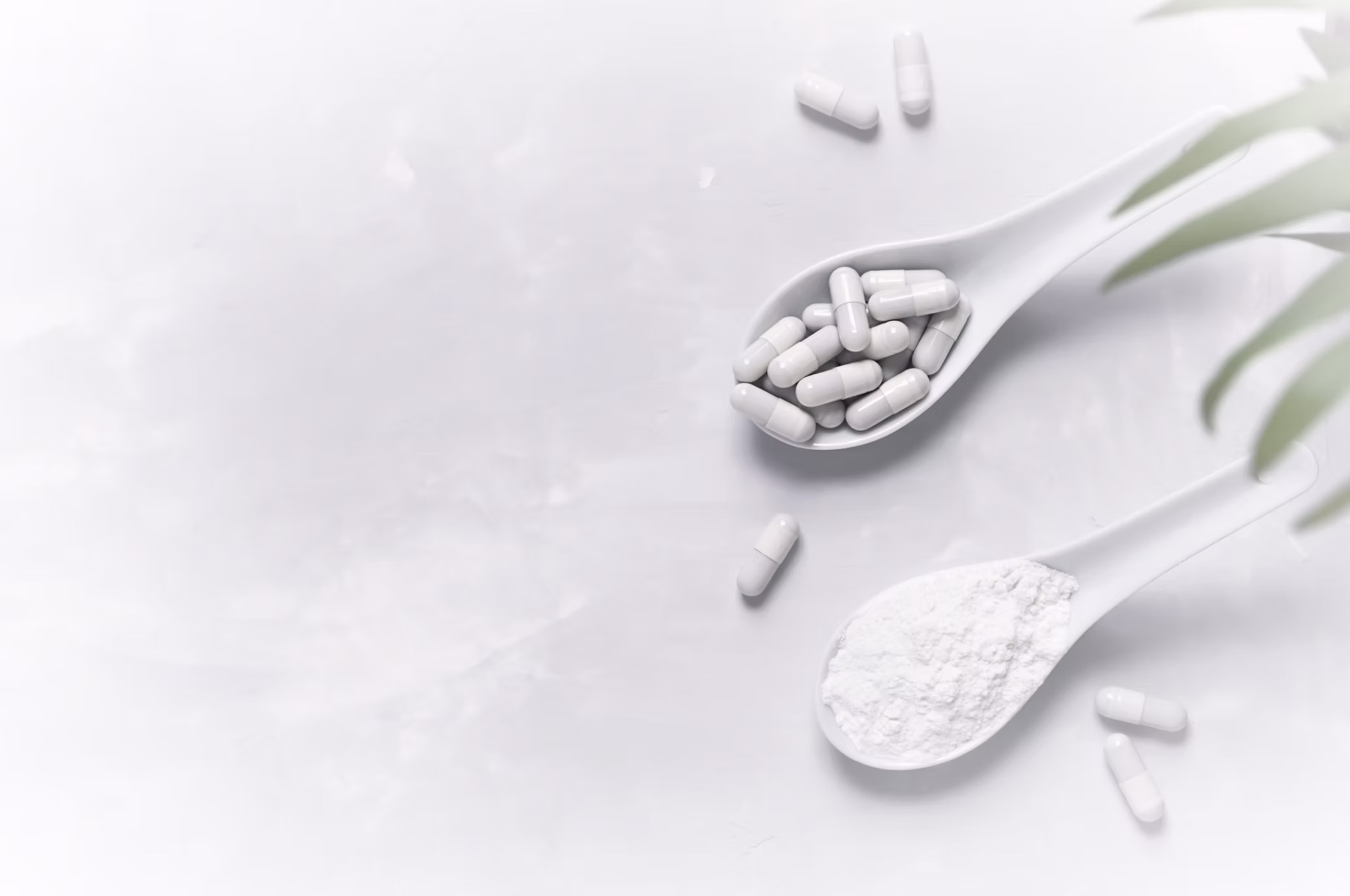 Private label white supplement capsule and powder against a blank background.